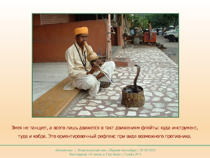 Змея не танцует, а всего лишь движется в такт движениям флейты: куда инструмент, туда
