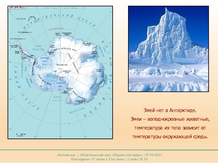 Змей нет в Антарктиде. Змеи – холоднокровные животные, температура их тела зависит от температуры