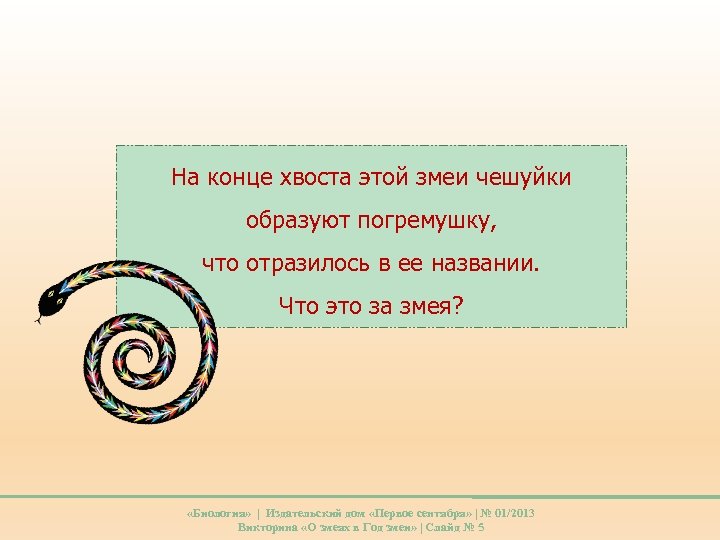 На конце хвоста этой змеи чешуйки образуют погремушку, что отразилось в ее названии. Что