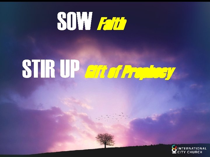 SOW Faith STIR UP Gift of Prophecy 