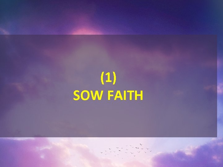 (1) SOW FAITH 