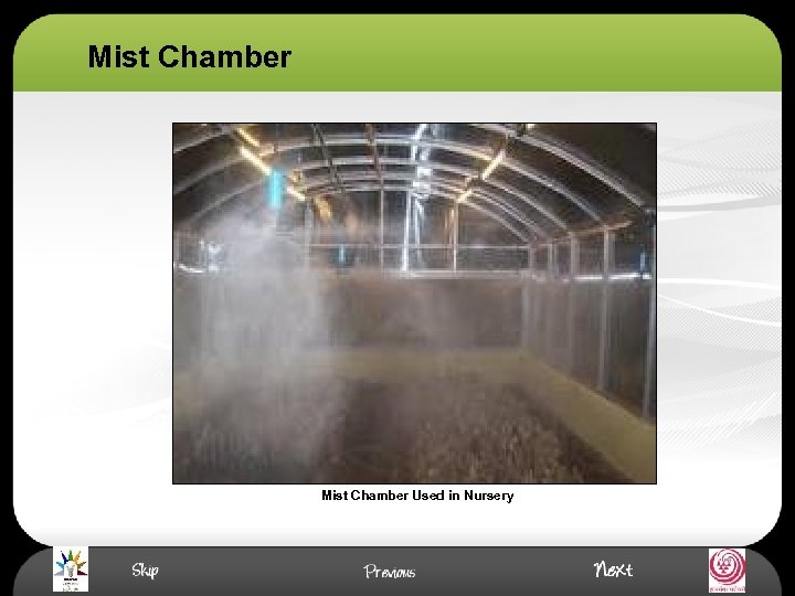 Mist Chamber Used in Nursery 