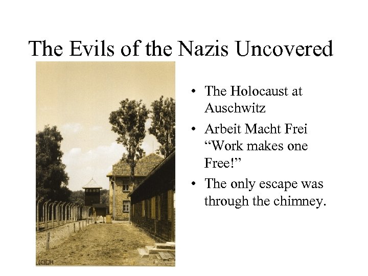 The Evils of the Nazis Uncovered • The Holocaust at Auschwitz • Arbeit Macht