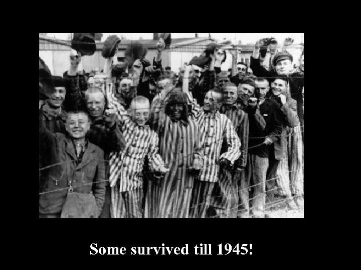 Some survived till 1945! 