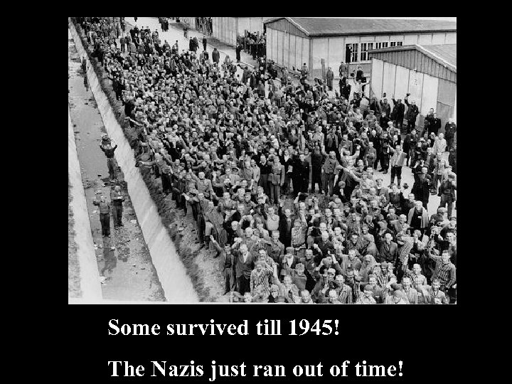 Some survived till 1945! The Nazis just ran out of time! 