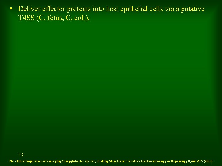  • Deliver effector proteins into host epithelial cells via a putative T 4