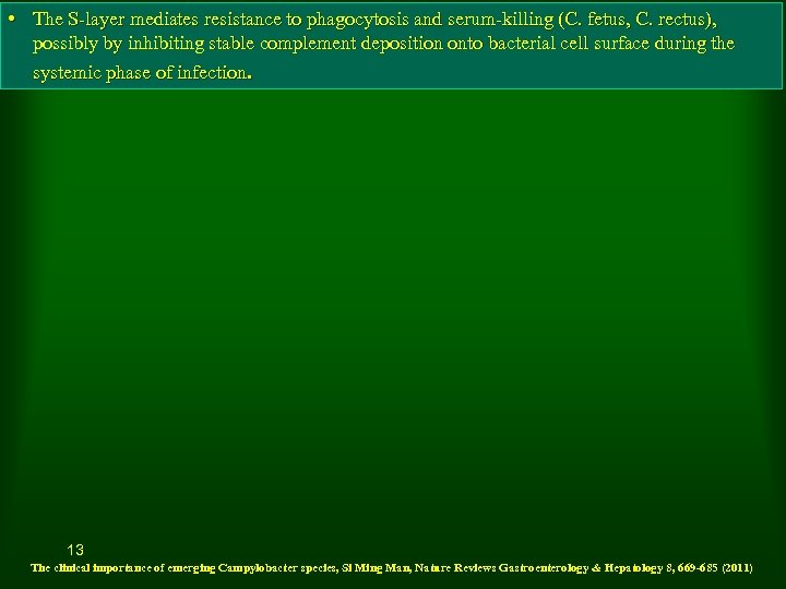  • The S-layer mediates resistance to phagocytosis and serum-killing (C. fetus, C. rectus),