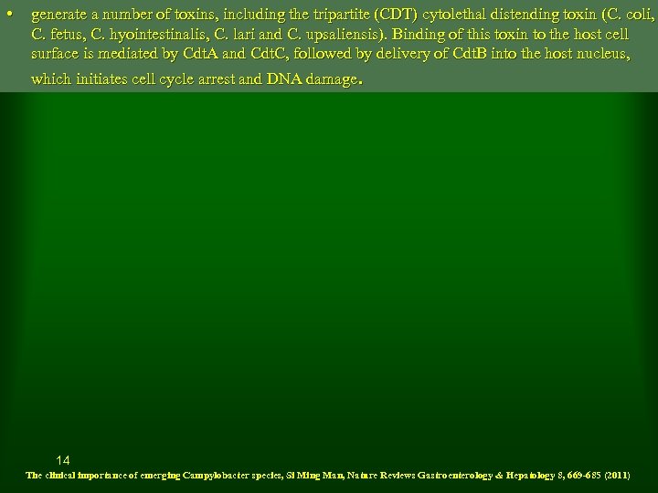 • generate a number of toxins, including the tripartite (CDT) cytolethal distending toxin