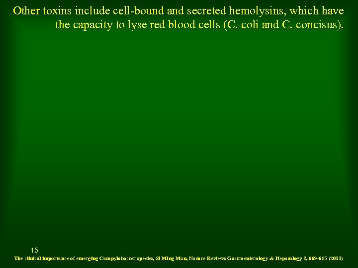 Other toxins include cell-bound and secreted hemolysins, which have the capacity to lyse red