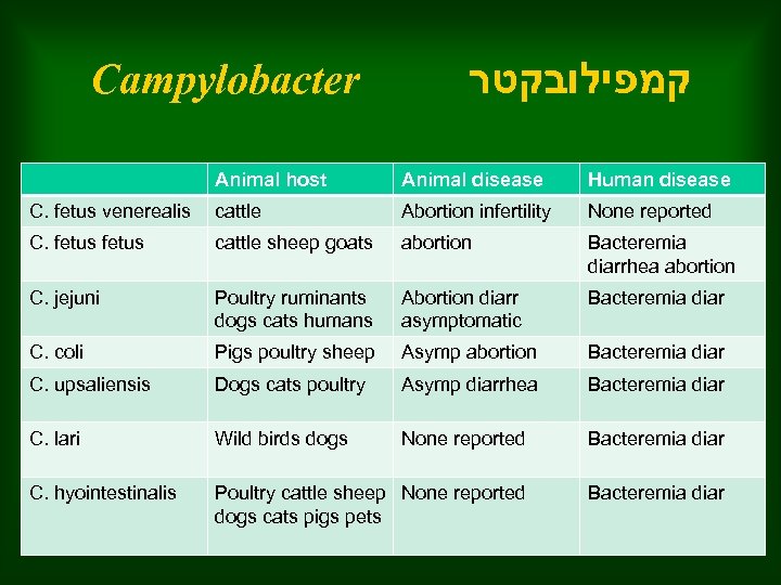 Campylobacter Animal host קמפילובקטר Animal disease Human disease C. fetus venerealis cattle Abortion infertility