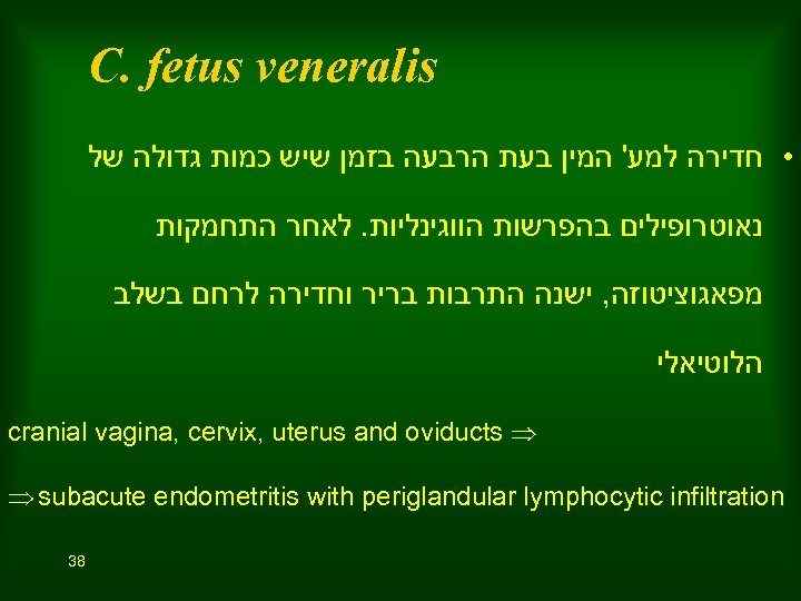  C. fetus veneralis • חדירה למע' המין בעת הרבעה בזמן שיש כמות גדולה