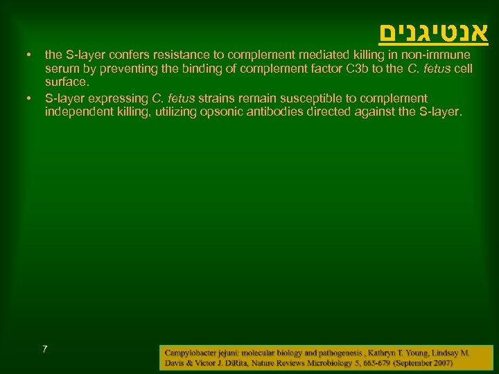  • • אנטיגנים the S-layer confers resistance to complement mediated killing in non-immune