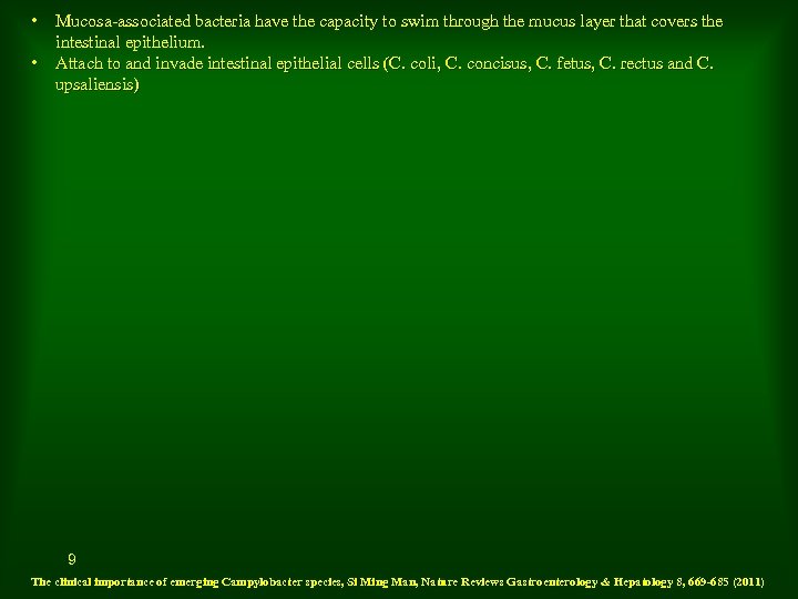  • Mucosa-associated bacteria have the capacity to swim through the mucus layer that