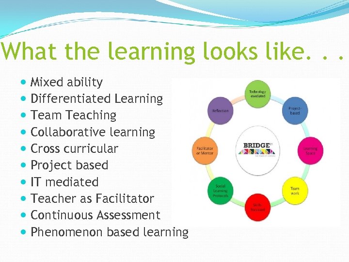 What the learning looks like. . . Mixed ability Differentiated Learning Team Teaching Collaborative