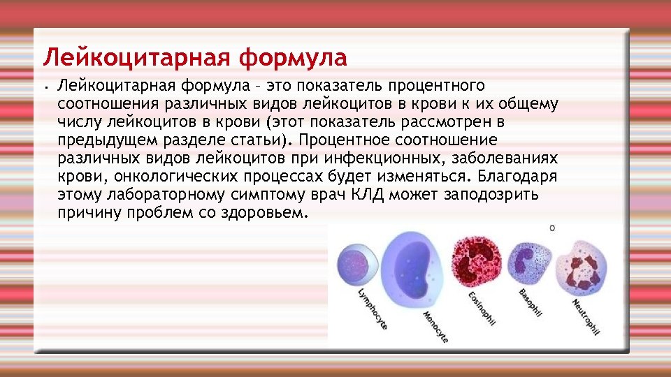Лейкоциты группа крови. Лейкоцитарная формула методика подсчета лейкоцитов. Лимфоциты в лейкоцитарной формуле. Лейкоцитарная формула нейтрофилы. Лейкоцитарная формула при инфекционных заболеваниях.