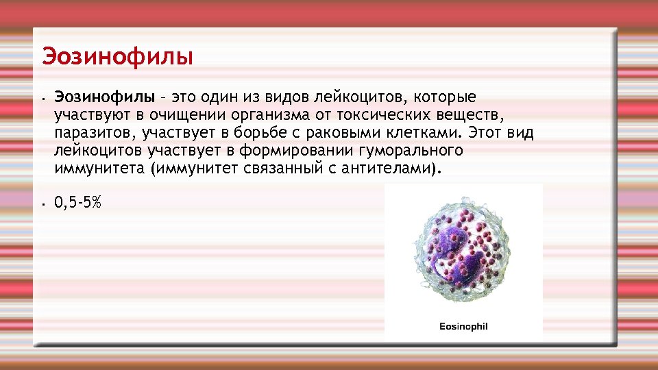 Значения эозинофилов. Строение эозинофильных лейкоцитов. Эозинофилы 0,23. Эозинофилы 0.38++. Эозинофилы краткая характеристика.