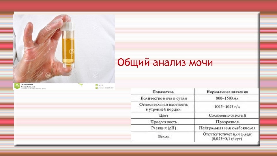 Общий анализ школы