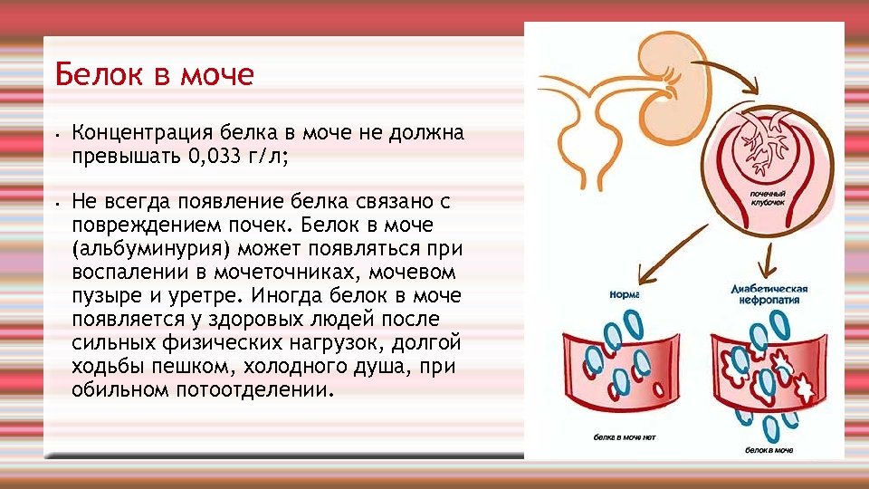 Белок 0 54. Белок 1 г/л в моче у беременных. Показатели белка в моче при беременности. Белок в моче у беременной 0.15. Белок в моче причины у женщин 0,3.