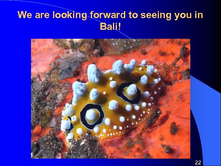 We are looking forward to seeing you in Bali! 22 