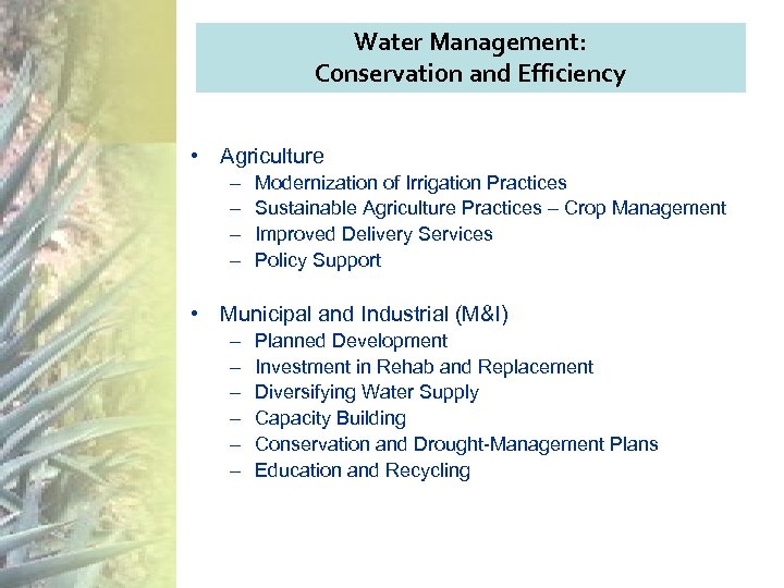 Water Management: Conservation and Efficiency • Agriculture – – Modernization of Irrigation Practices Sustainable