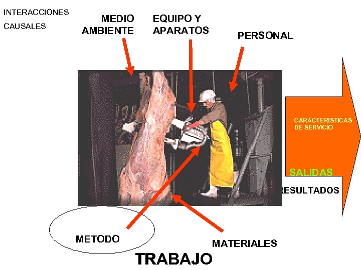 INTERACCIONES CAUSALES MEDIO AMBIENTE EQUIPO Y APARATOS PERSONAL CARACTERISTICAS DE SERVICIO SALIDAS RESULTADOS METODO