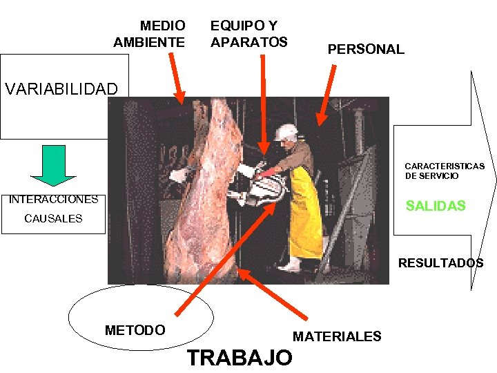 MEDIO AMBIENTE EQUIPO Y APARATOS PERSONAL VARIABILIDAD CARACTERISTICAS DE SERVICIO INTERACCIONES SALIDAS CAUSALES RESULTADOS