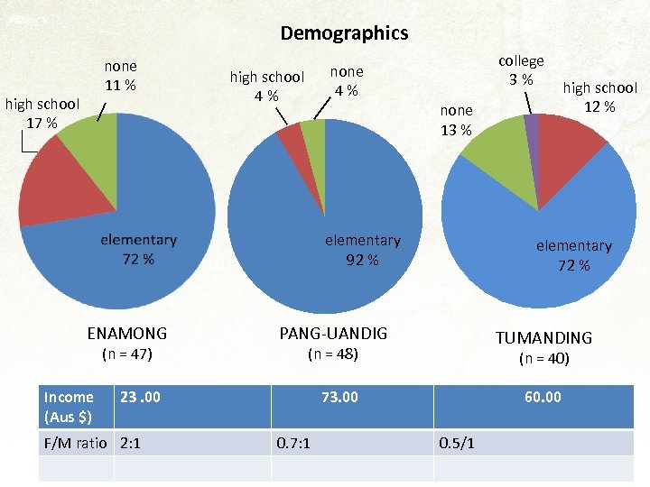Demographics none 11 % high school 17 % college 3% none 4% high school