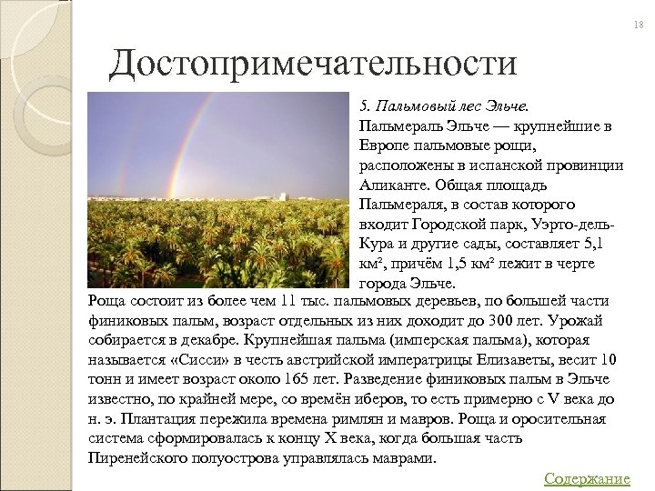 18 Достопримечательности 5. Пальмовый лес Эльче. Пальмераль Эльче — крупнейшие в Европе пальмовые рощи,