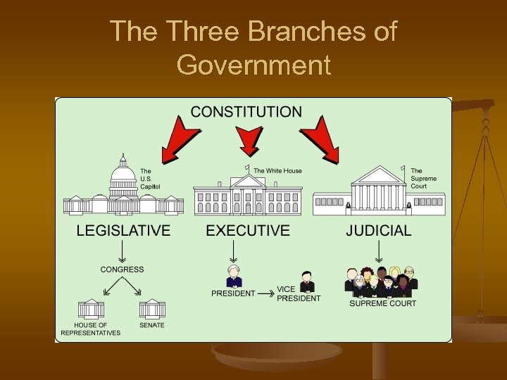 The Three Branches of Government 