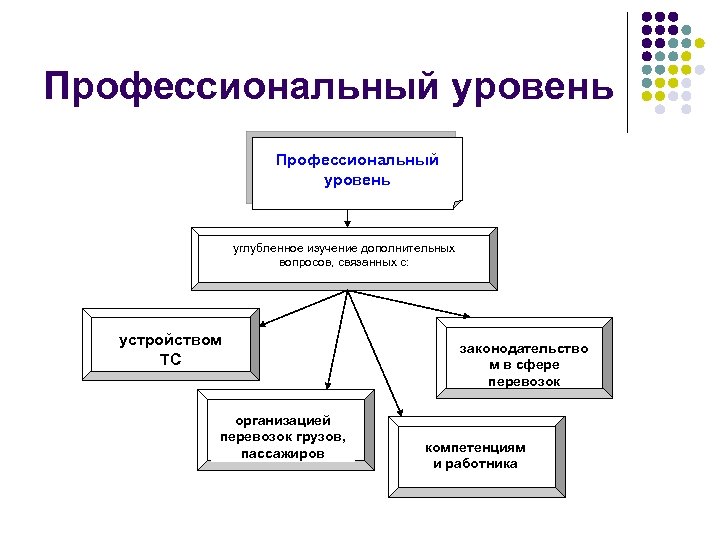 Профессиональный уровень углубленное изучение дополнительных вопросов, связанных с: устройством ТС организацией перевозок грузов, пассажиров