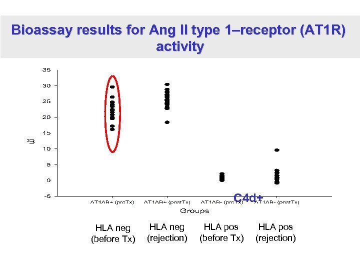 Bioassay results for Ang II type 1–receptor (AT 1 R) activity C 4 d+