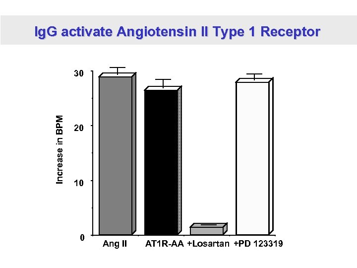 Ig. G activate Angiotensin II Type 1 Receptor Increase in BPM 30 20 10