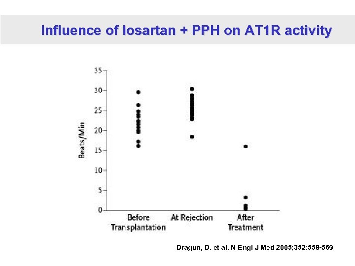 Influence of losartan + PPH on AT 1 R activity Dragun, D. et al.