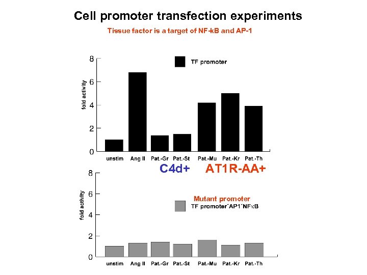 Cell promoter transfection experiments Tissue factor is a target of NF-k. B and AP-1