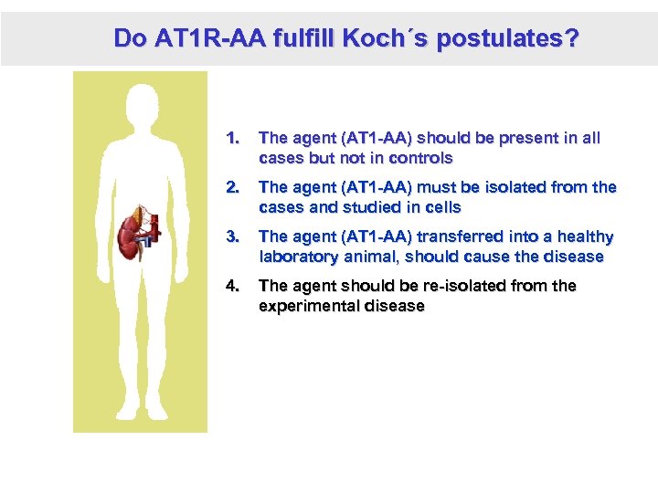 Do AT 1 R-AA fulfill Koch´s postulates? 1. The agent (AT 1 -AA) should