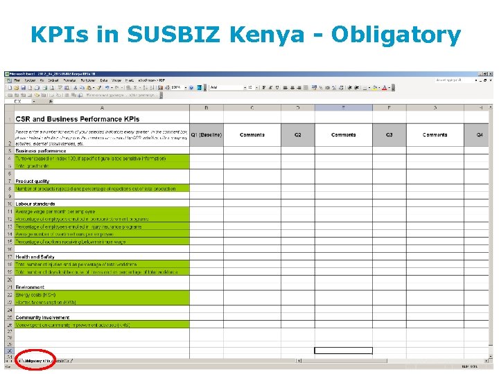 KPIs in SUSBIZ Kenya - Obligatory 