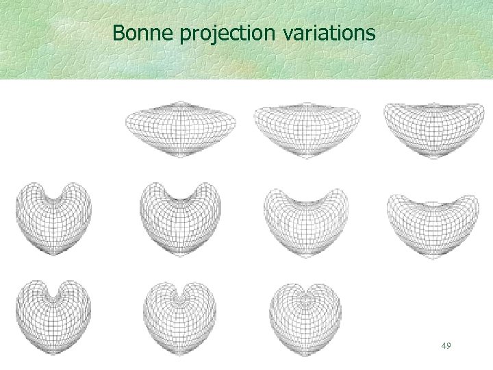 Bonne projection variations 49 