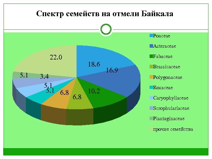 Спектр семейств на отмели Байкала Poaceae Asteraceae 22. 0 5. 1 3. 4 5.
