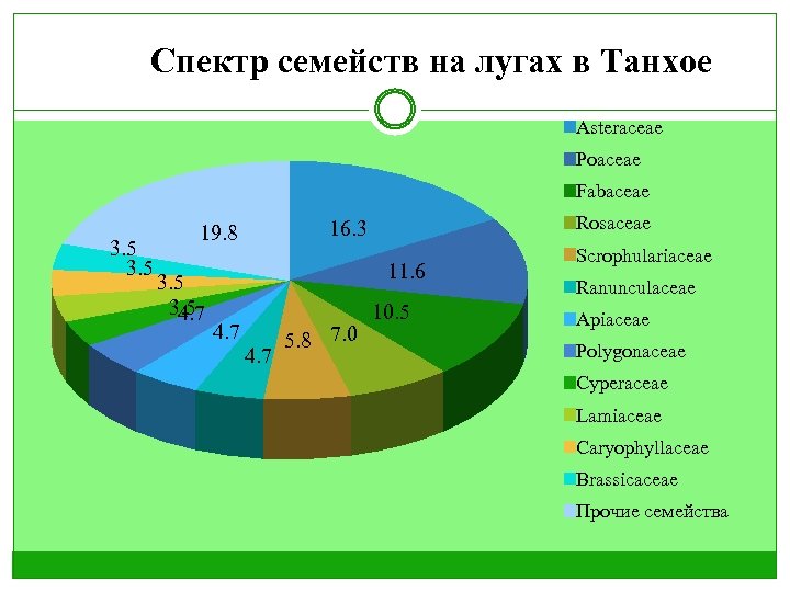 Спектр семейств на лугах в Танхое Asteraceae Poaceae Fabaceae 3. 5 4. 7 Rosaceae