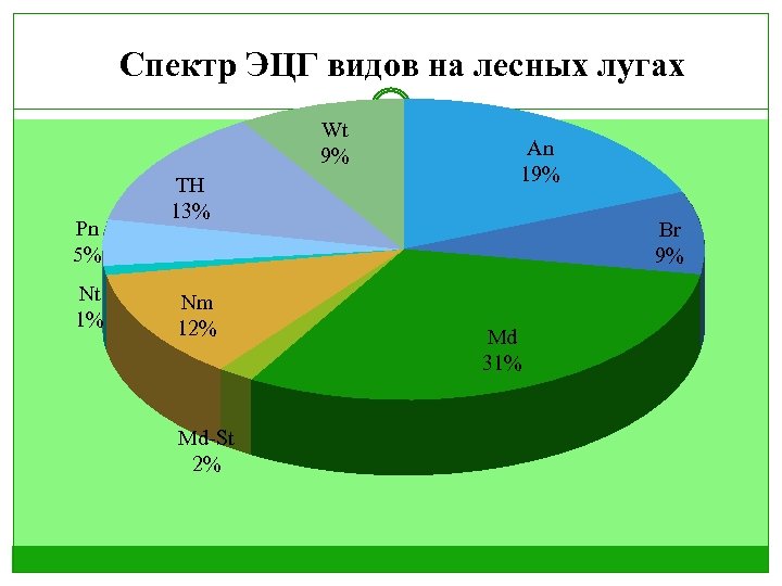 Спектр ЭЦГ видов на лесных лугах Wt 9% Pn 5% Nt 1% TH 13%