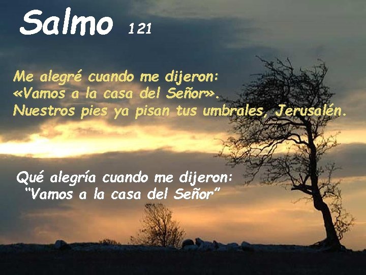 Salmo 121 Me alegré cuando me dijeron: «Vamos a la casa del Señor» .