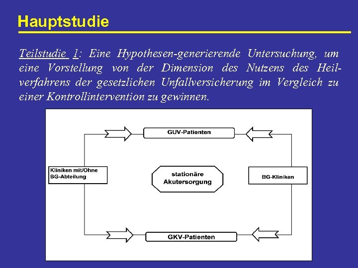 Hauptstudie Teilstudie 1: Eine Hypothesen-generierende Untersuchung, um eine Vorstellung von der Dimension des Nutzens