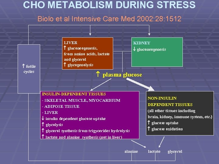 CHO METABOLISM DURING STRESS Biolo et al Intensive Care Med 2002: 28: 1512 futile