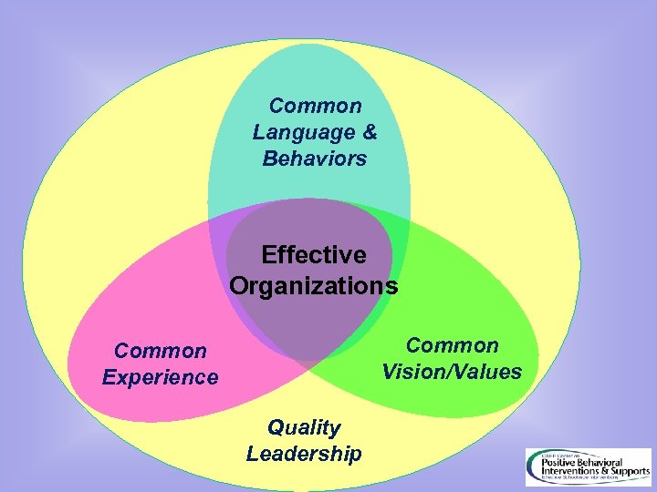 Common Language & Behaviors Effective Organizations Common Vision/Values Common Experience Quality Leadership 