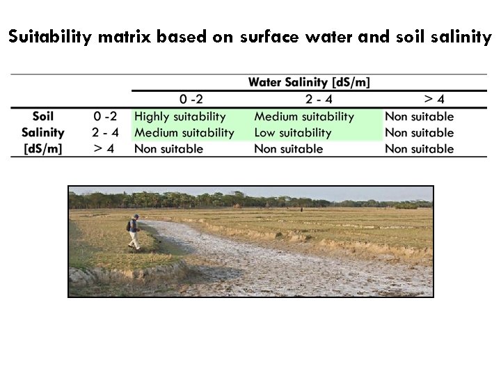 Suitability matrix based on surface water and soil salinity 
