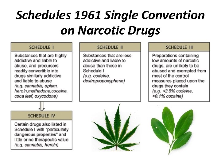 Schedules 1961 Single Convention on Narcotic Drugs 