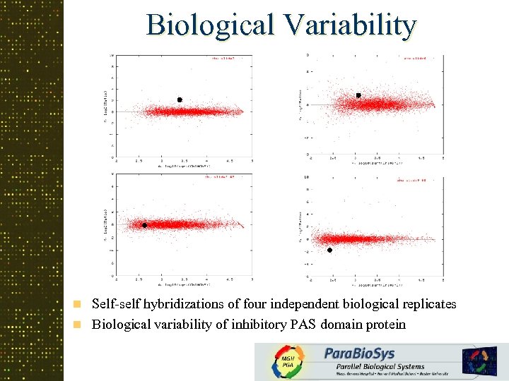 Biological Variability Self-self hybridizations of four independent biological replicates n Biological variability of inhibitory