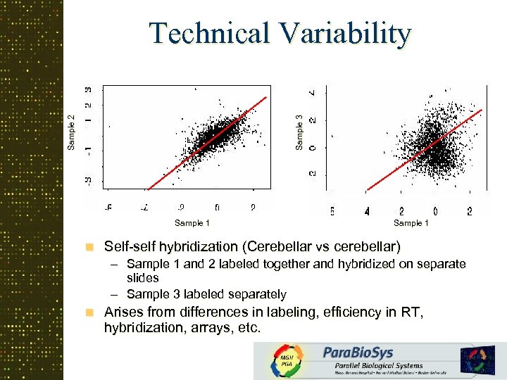 Sample 3 Sample 2 Technical Variability Sample 1 n Sample 1 Self-self hybridization (Cerebellar