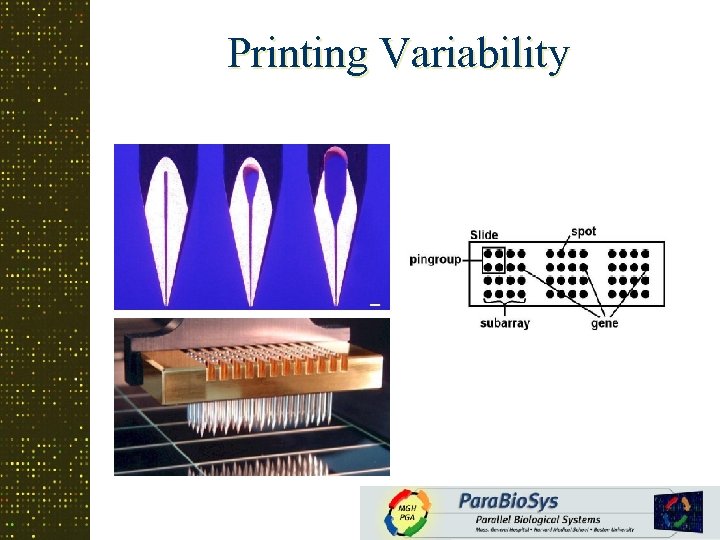 Printing Variability 