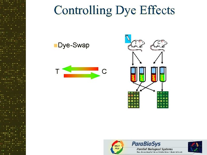 Controlling Dye Effects T n. Dye-Swap T C C 
